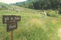 Suivez le chemin....